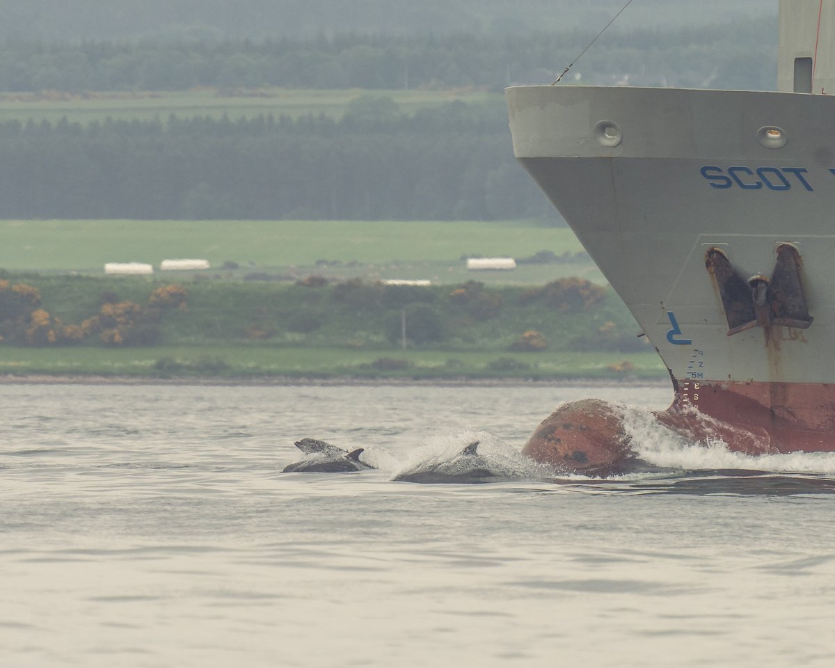 Z70 Photography tweet media