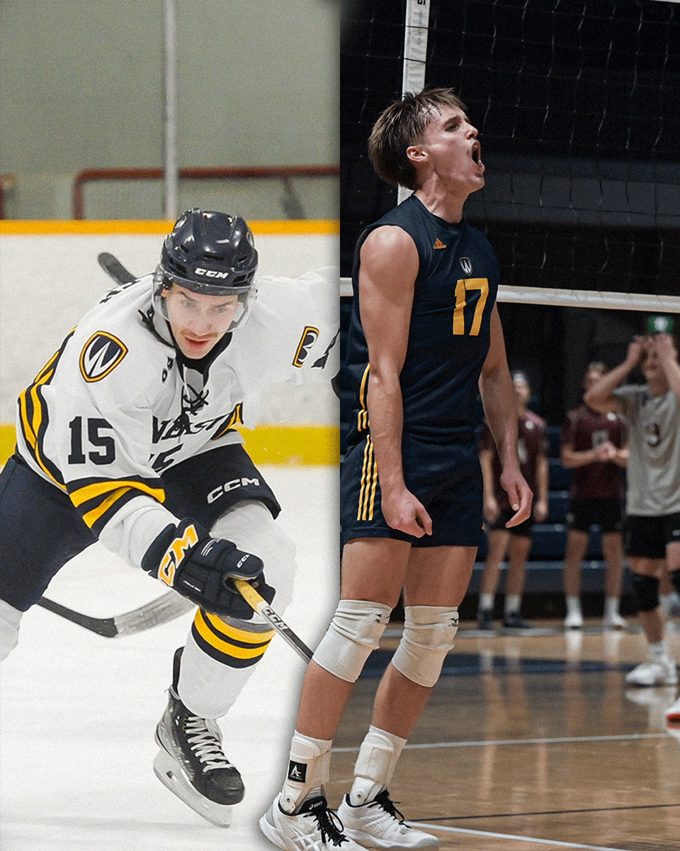 WindsorLancers's tweet photo. Weekend views @ home 👀

📸Connor Sykes &amp; Kevin Jarrold

#WeekendViews #LancerFamilyFirst https://t.co/8czLA6ggFJ