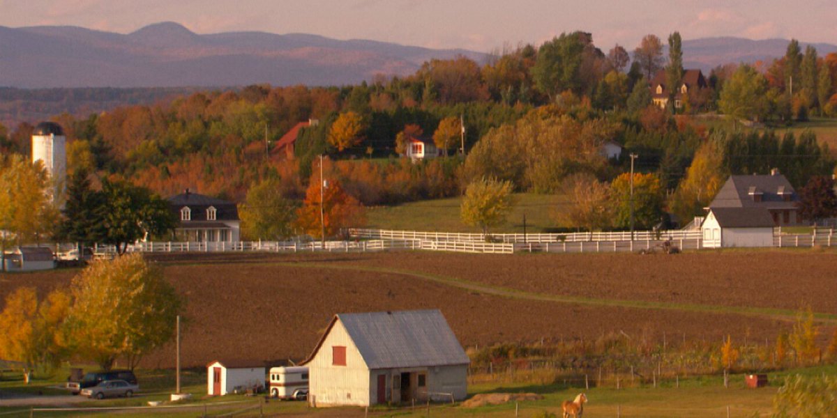 Jack Chambers tweet media