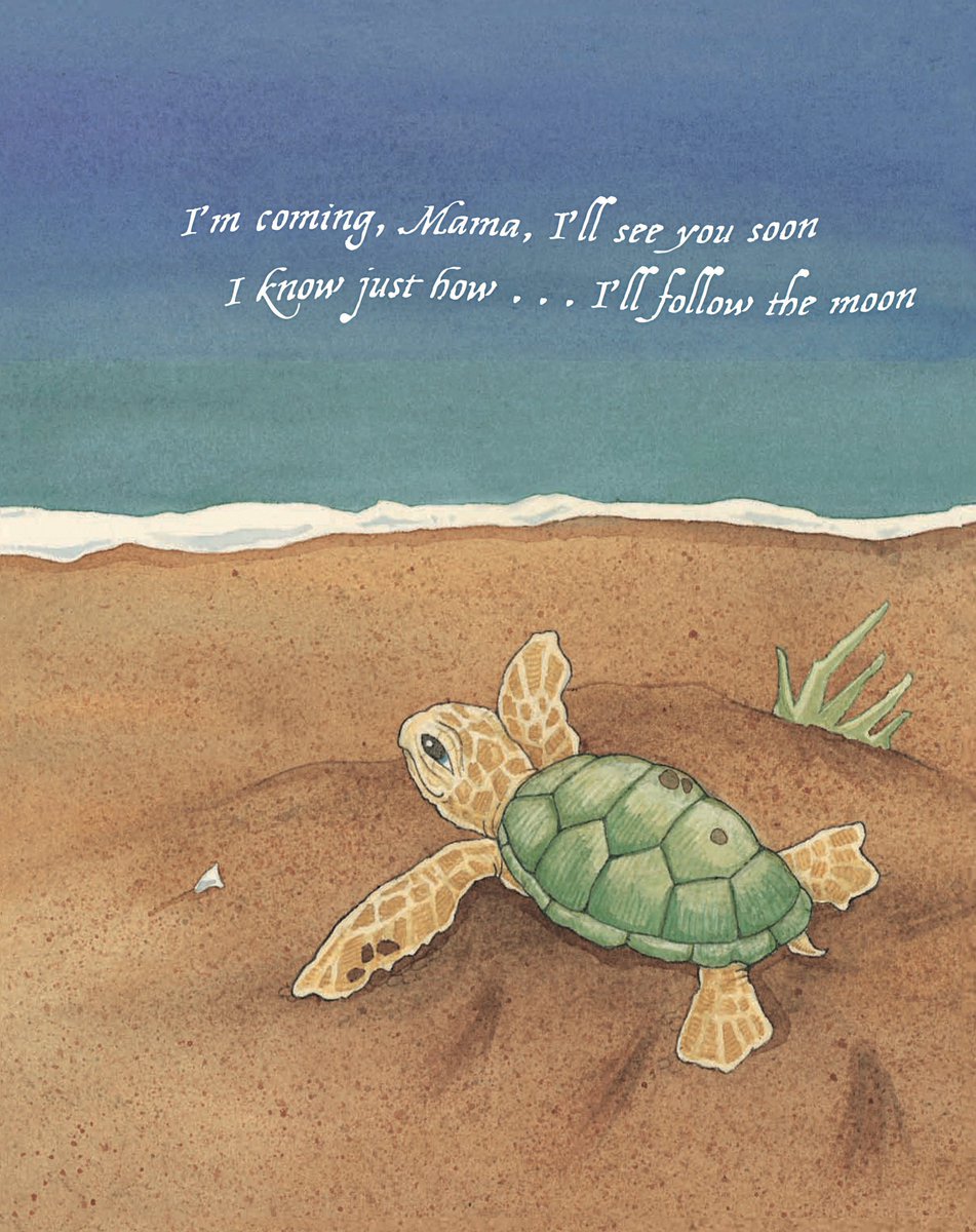 stephanietara's tweet photo. ❤️BABY TURTLE GIVES THANKS!❤️
🌟"Gorgeous watercolors!~Kirkus
🌟"Sweet~HuffP
🌟"Captivates!~NYT
🌟"Onomatopoeia~PW
🌟"Courageous!~SFGate
🌟"Tranquil~ALA
🌟"Serenades~NatGeo
🌟"Bravo~WWF
📚https://t.co/6oEMknJvyN #kidlit #kidlitart #Thanksgiving #Gratitude #love #art #kids #family https://t.co/uVsaDv1LGT