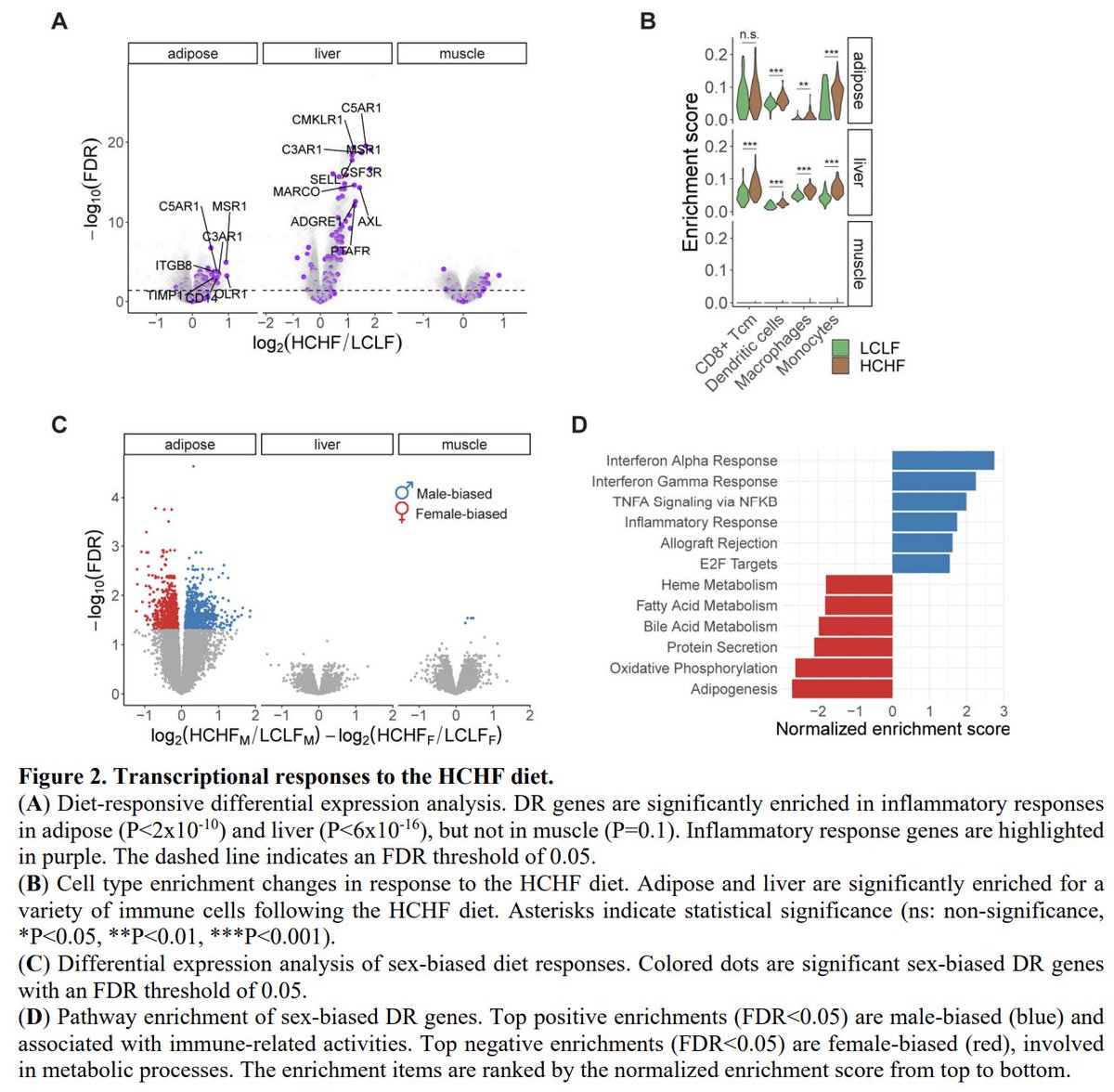 pnatarajanmd's tweet photo. Wow, really cool study. Regulatory variants responsible for high-fat/high-cholesterol dietary influence on gene expression across tissues among baboons are enriched for cardiometabolic-associated GWAS variants in humans not always explained by standard eQTLs. https://t.co/KTbOmMYDJQ @biorxivpreprint