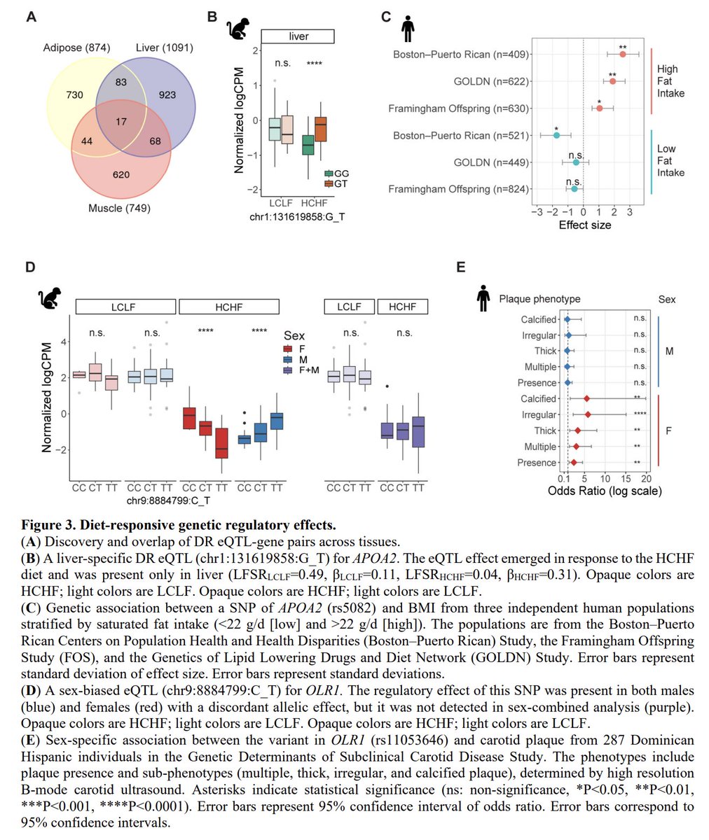 pnatarajanmd's tweet photo. Wow, really cool study. Regulatory variants responsible for high-fat/high-cholesterol dietary influence on gene expression across tissues among baboons are enriched for cardiometabolic-associated GWAS variants in humans not always explained by standard eQTLs. https://t.co/KTbOmMYDJQ @biorxivpreprint