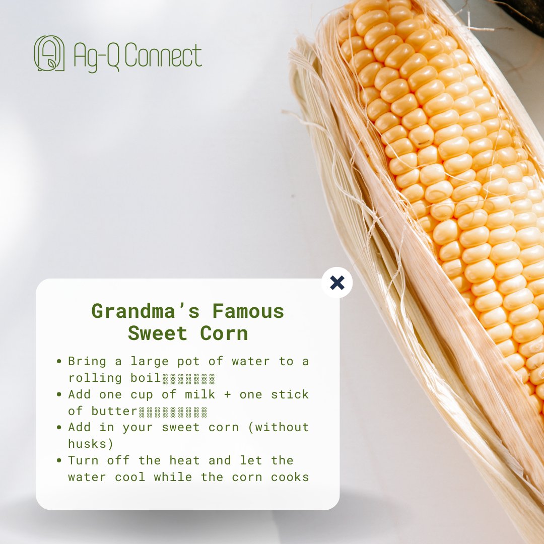 AgQConnect's tweet photo. Here in the Midwest, corn is a staple at Thanksgiving dinner.  While there are MANY different ways to cook corn, here are two of our all-time favorite, simple corn recipes that are sure to be a hit on turkey day.

Save these recipes to use later this week! https://t.co/wZHVvYX7ue