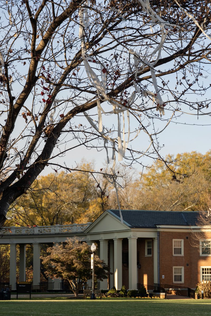 WFU Residence Life and Housing tweet media