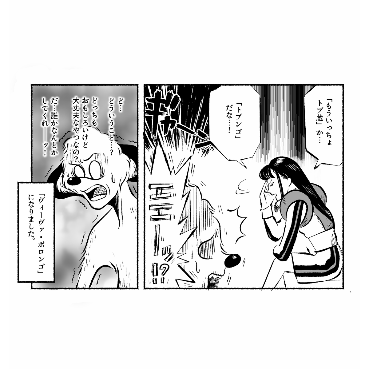 観ました🤸♂️セイさんに笑い殺されるかと思いました🤸♂️
#ギャンパレみんなのASOVIVA #ヴィーヴァ・ボロンゴ