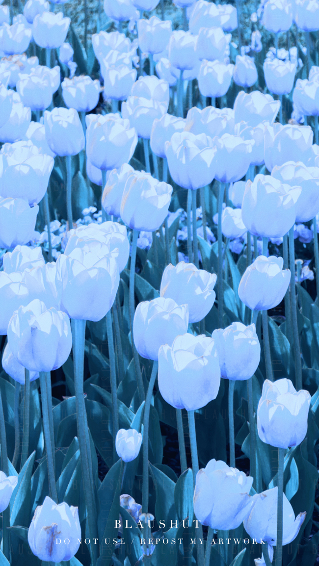 blaushut's tweet photo. blue sequence https://t.co/5QqduAWLjN