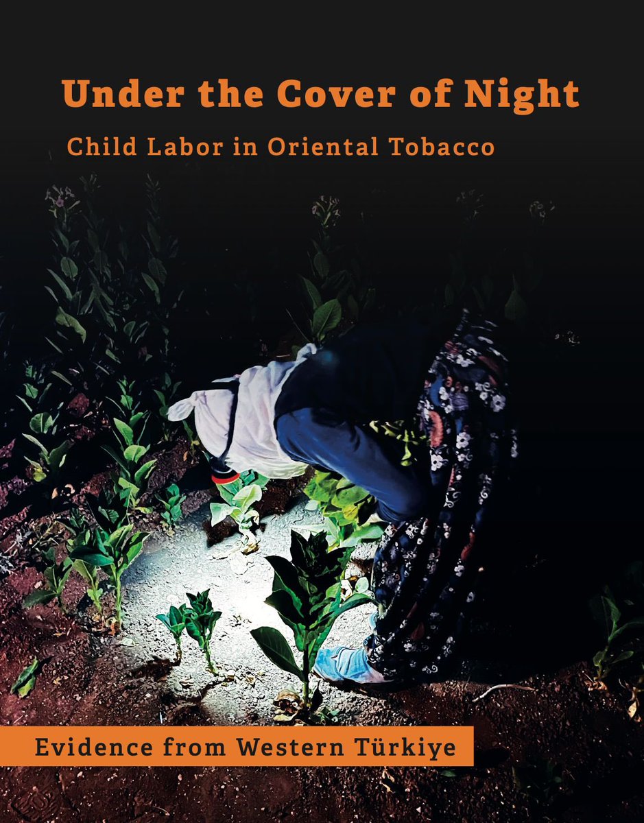 umutkuruuzum's tweet photo. 2. 📢 Discover our latest report: "Under the Cover of Night: Child Labor in Oriental Tobacco," now available in both English and Turkish. #tütündekırımvar
https://t.co/i7eRcADH17 https://t.co/1XehMuTk8W