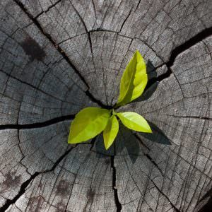 andreaa130108's tweet photo. Bon dia o bona tarda!! Som @aaleexvl23 i jo i avui us ensenyarem la primera entrada del nostre blog de religió. Tracta sobre l' #esperança, espero que us agradi. 
Us comparto aquí l'enllaç: https://t.co/VWIv6zhxUW https://t.co/BTqvxxWTBx