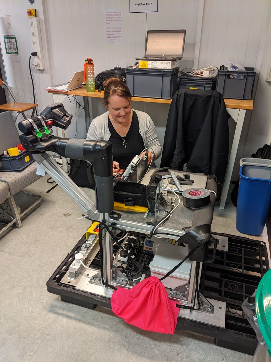 Gell-p Project tweet media