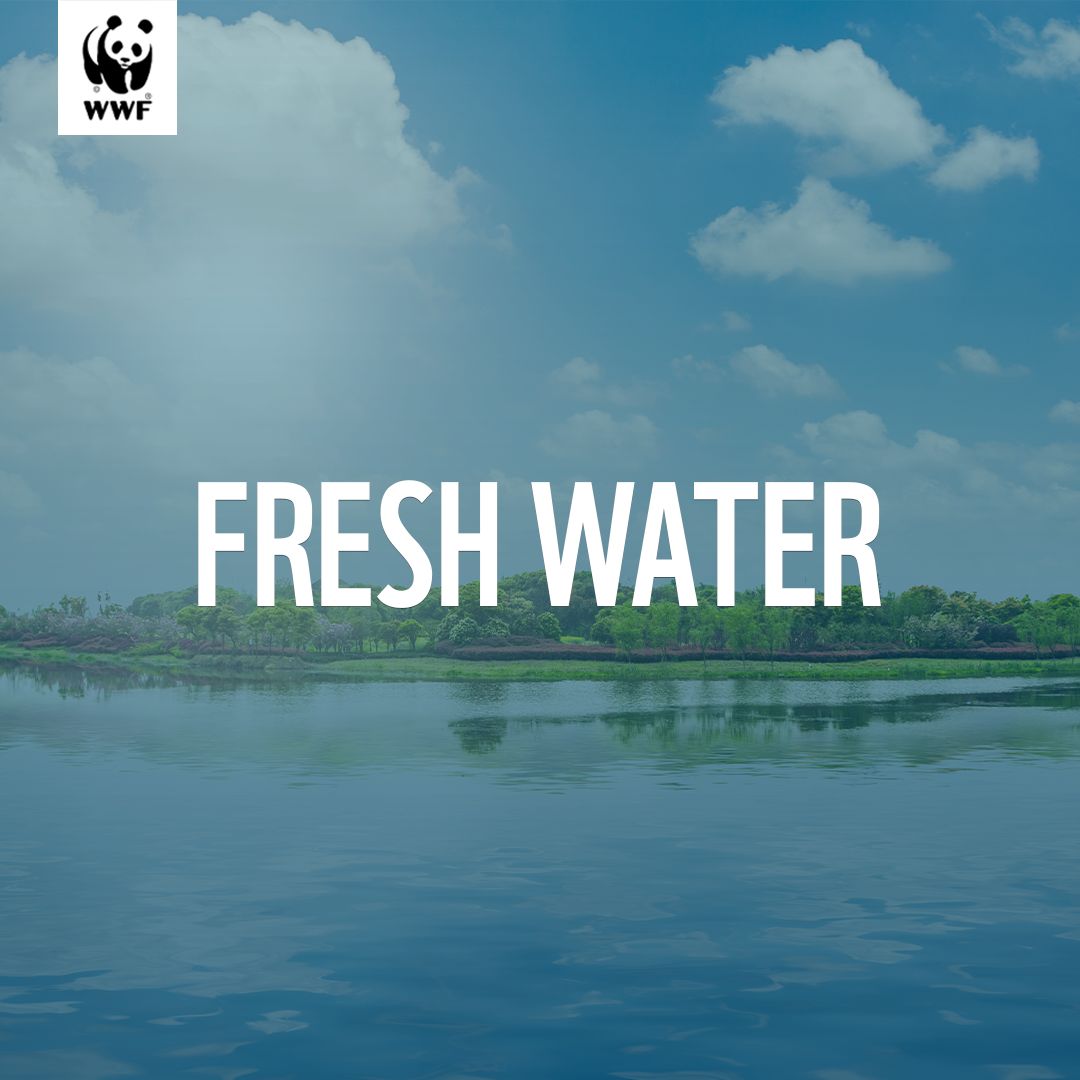 wwfzambia's tweet photo. Freshwater systems are the heart of Zambia's biodiversity! Let's work together to conserve our rivers and lakes for a sustainable future. 
#SaveZambianRivers #ConservingFreshwater #WWFZambia
#TogetherIsPossible https://t.co/0lYzUKYPcc