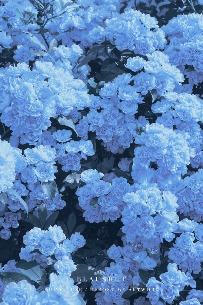 blaushut's tweet photo. blue sequence https://t.co/5QqduAWLjN