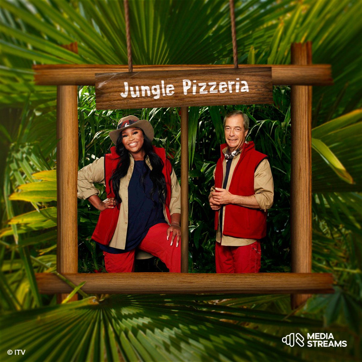 MediaStreams tweet media