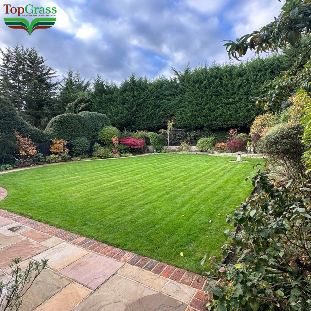 TopGrass tweet media