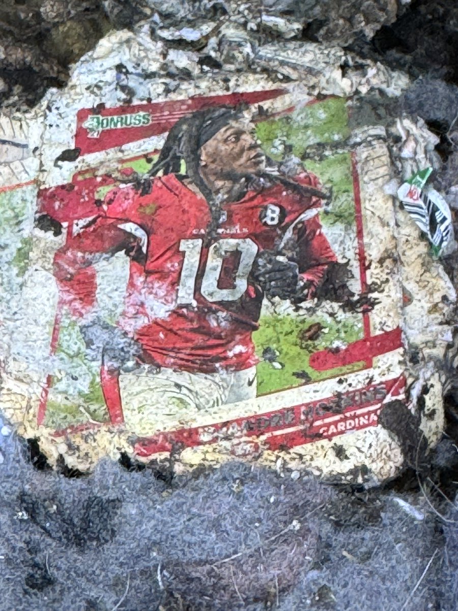 CompostingCards's tweet image. DeAndre Hopkins in compost.
#CompostCards #GreenHobby #Composting #TheHobby @DeAndreHopkins