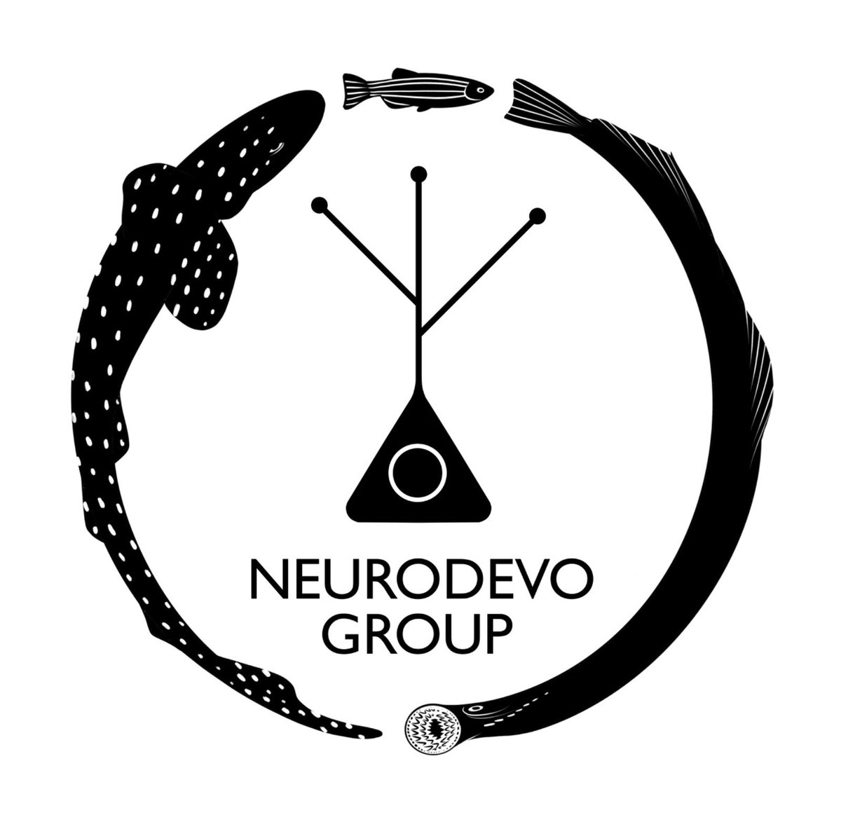 NEURODEVO tweet media