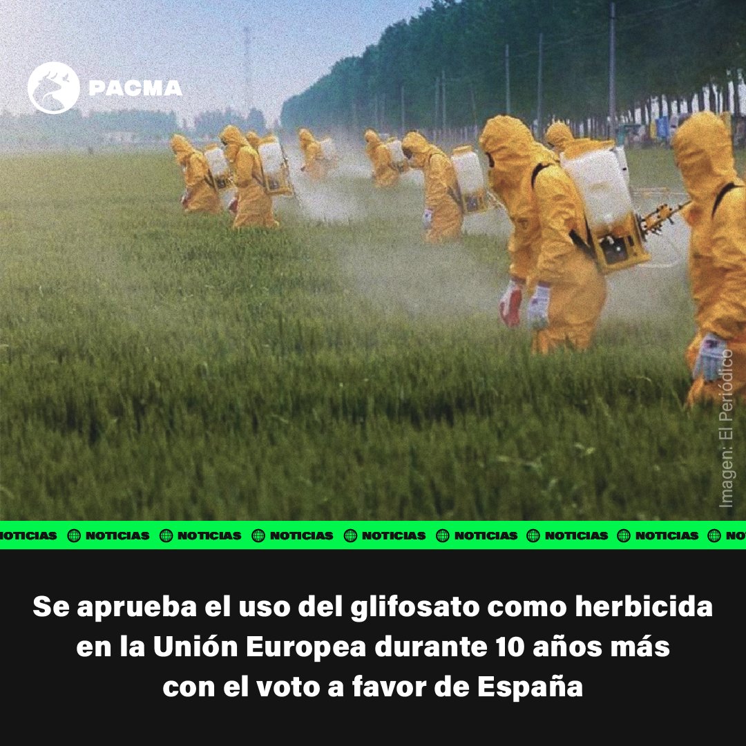 España votó a favor del glifosato, un herbicida tóxico que acaba con la #biodiversidad y considerado probablemente cancerígeno.

En PACMA apostamos por una agricultura ecológica que no perjudique a la salud y que contribuya a la conservación del ecosistema.

#StopGlifosato