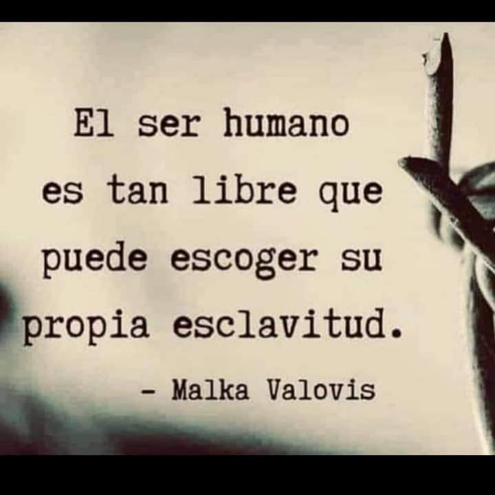 ArturoAroni's tweet photo. https://t.co/Ndt8uqD61f