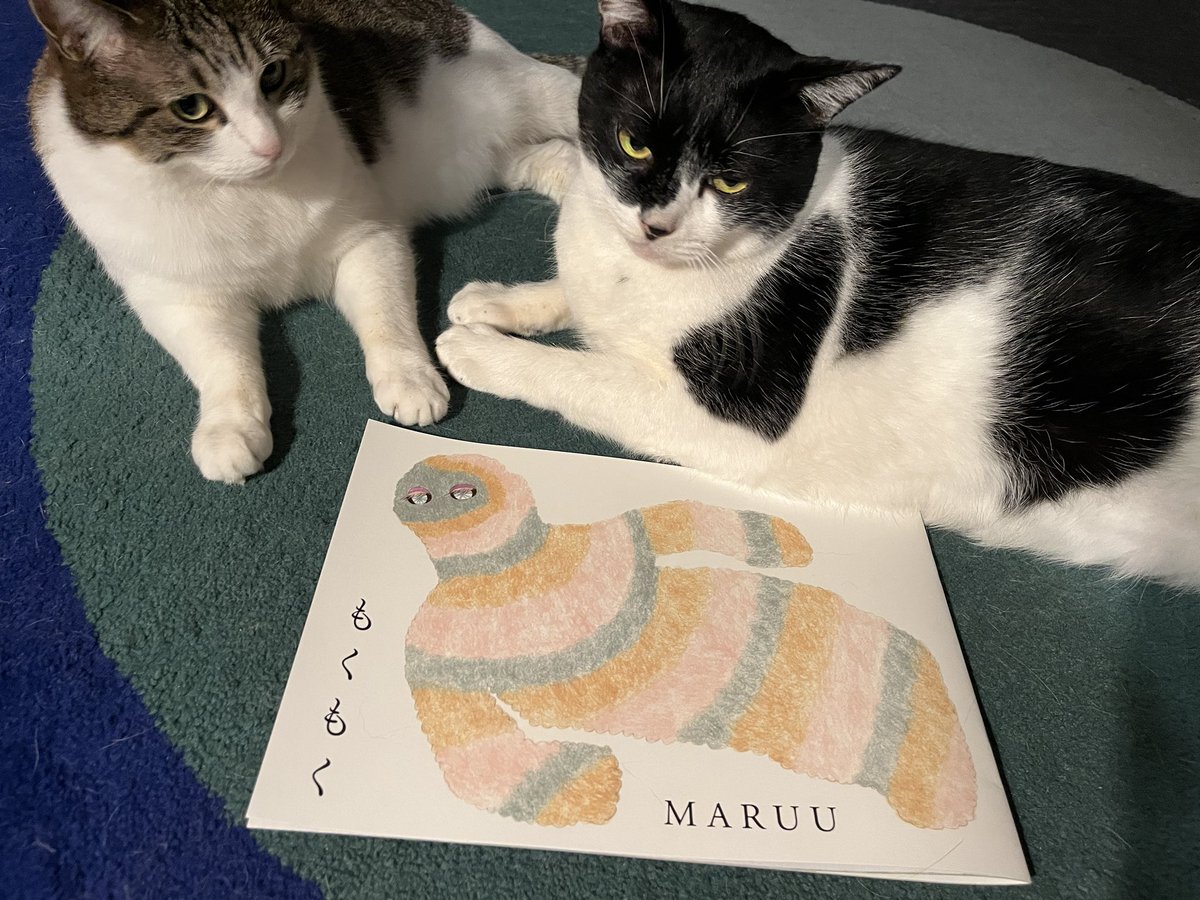 uresica's tweet photo. もくもくともふもふ
MARUU個展「もくもく」延長展示も終わりました。皆さま、マルーさん、ありがとうございました。これからも『もくもく』お届けしていきますね🌨️
火曜と水曜は定休日で展示入れ替え。
木曜からくまあやこ個展「うたう星庭」が始まります。どうぞお楽しみに💫
#MARUU #もくもく2023 https://t.co/6mDzAWk6US