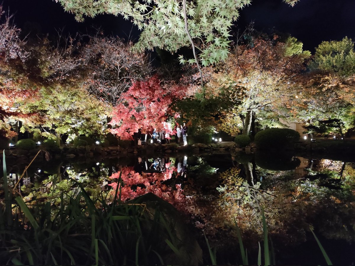 Aines1216's tweet photo. 弾丸京都神社仏閣めぐり⑦
最後　東寺 https://t.co/oOzkUJasoe