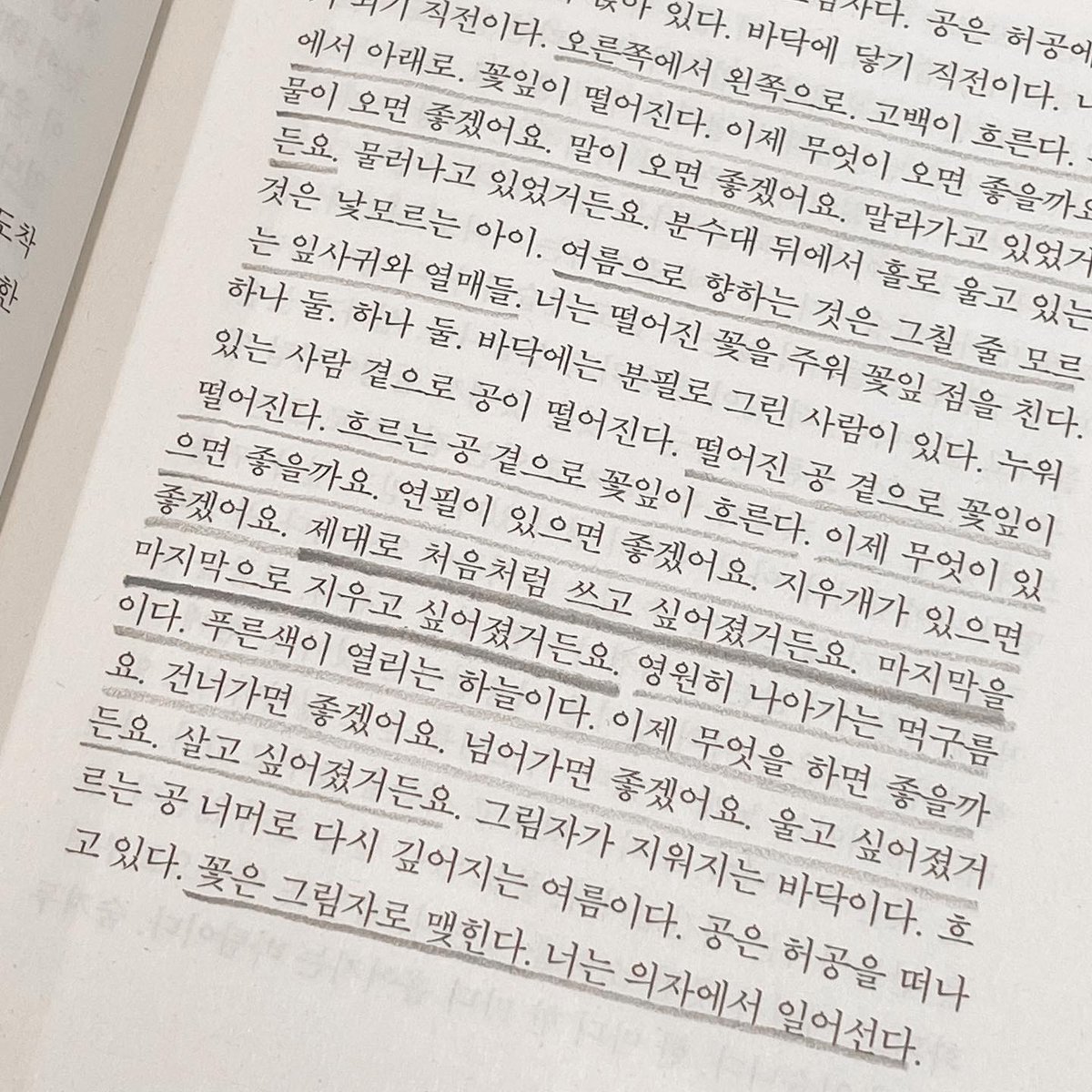 𝐫𝐨𝐬𝐞. tweet media