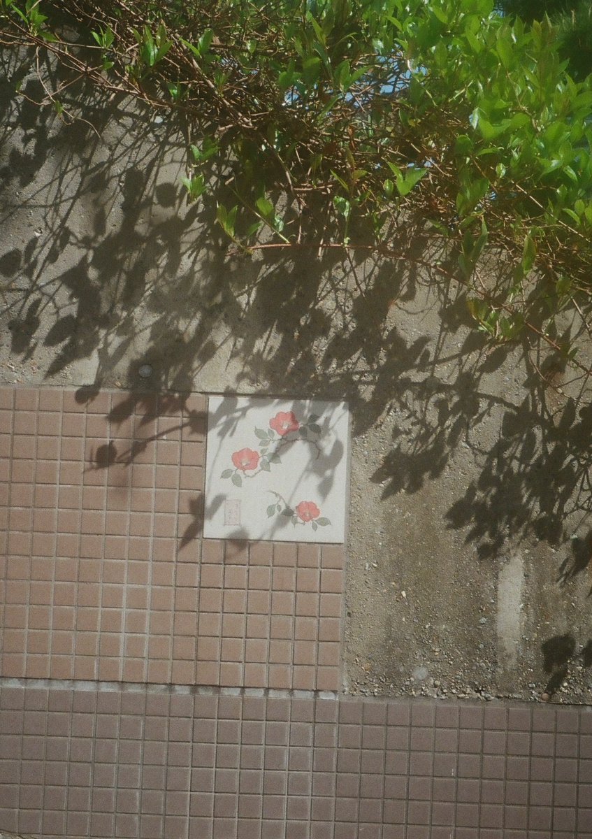 nagahoooo0's tweet photo. " なんでもない " ということが、私にとって大切だと感じる瞬間が定期的に訪れる。

忘れたくないな。

だから忘れないように、これからもそれを繰り返したい。

#film
#filmphotography 
#そこに光があること
#あの街のどこか https://t.co/oEMapq079x