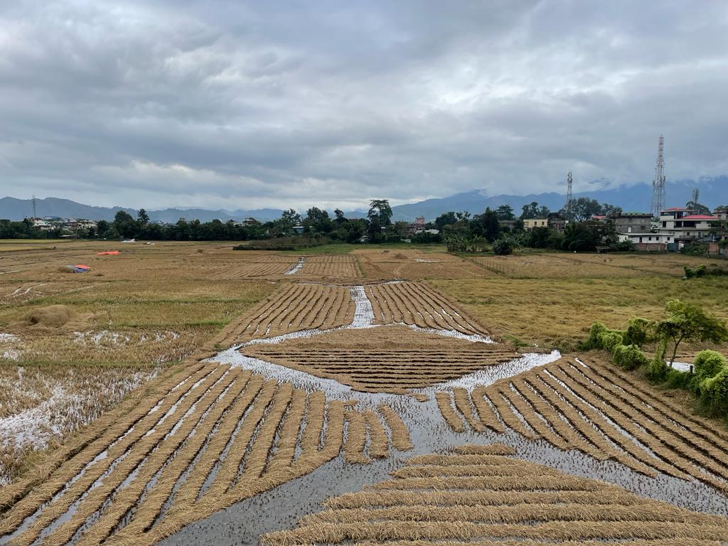 #Manipur Over and above the crisis of political failure and violence, the climate change brought on by poppy cultivation has brought in dry summers and heavy winter rains. This picture of harvested paddy submerged in rain water, taken by @aliasKorou at Lairikyengbam Leikai is 💔