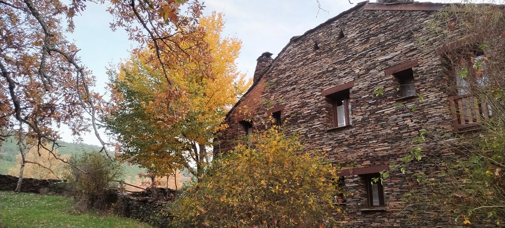 𝗟𝗼𝘀 𝗗𝗼𝗰𝗲 𝗥𝗼𝗯𝗹𝗲𝘀 tweet media