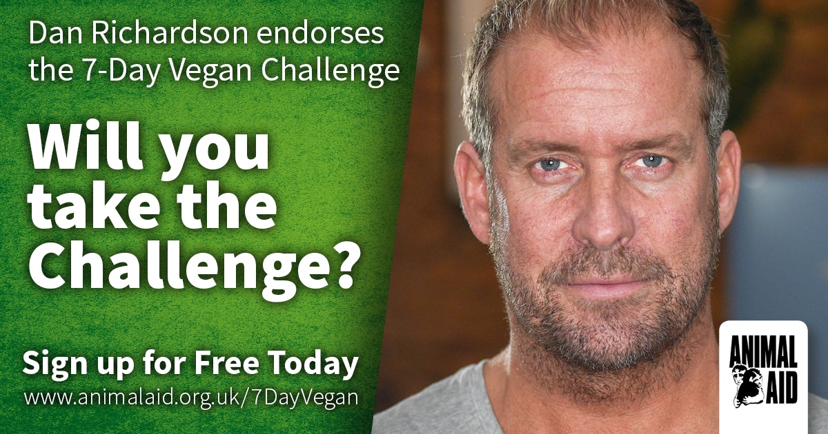 Thank you to actor, conservationist, and animal rights activist, @dan710ths, for endorsing the 7-Day Vegan Challenge. ⁠ ⁠ Sign up for FREE today: animalaid.org.uk/7DayVegan #WorldVeganMonth