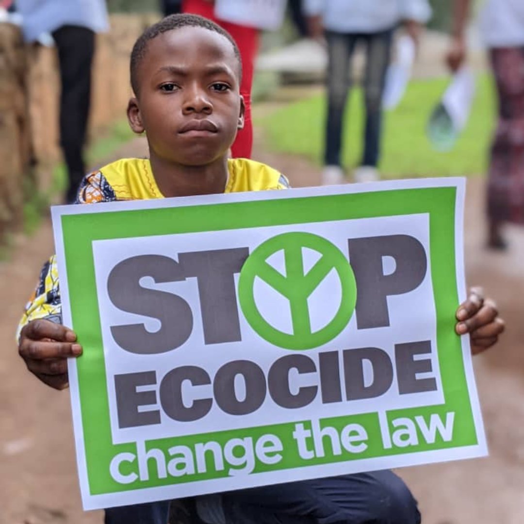 This is your opportunity to join @EcocideLawYouth as they continue to build momentum around criminalising the worst harms to nature - #Ecocide - in the run-up to the #UNFCCC’s #COP28 in #Dubai this year. 🔗 Submit your video contribution: forms.gle/A2dLnhuL5S9fvR… #StopEcocide
