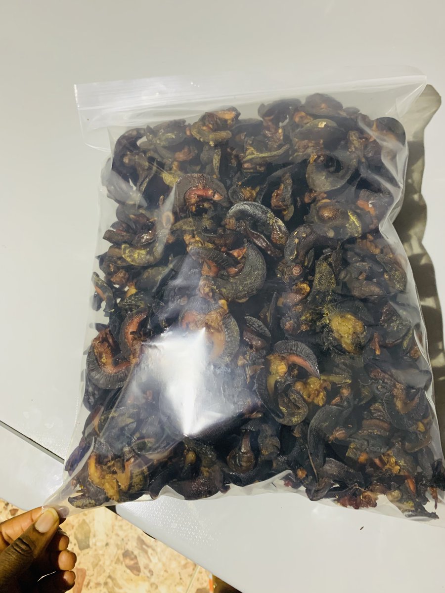 For my Japa customers, you can buy this bag bag of snails to last you a long time. It’s 240 pieces of dried small medium snails 108,000 + 9k(cost of drying) Total: 117,000