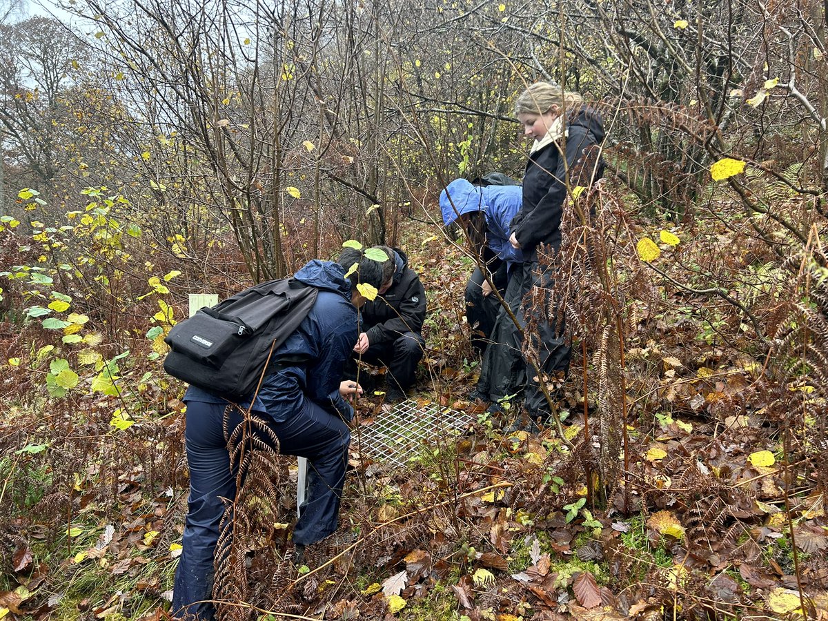 Coppiced woodland for our AH brilliant Biologists. <a href="/FSCBlencathra/">FSC Blencathra</a> @Hutchesons
