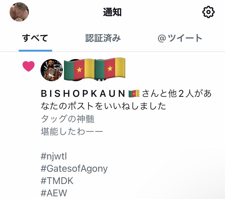 auntie_NEWERA's tweet photo. ใซใผใณ้ธๆใฎ
ใใใญ๐ใฎ้ใใซใใใใฏใชโผ๏ธ
#njwtl
#EmbassyForever
#GatesofAgony
#CameroonianChanpion๐๐จ๐ฒ
#weloveBISHOP๐โค๏ธ๐ https://t.co/CTMSoFXM1H