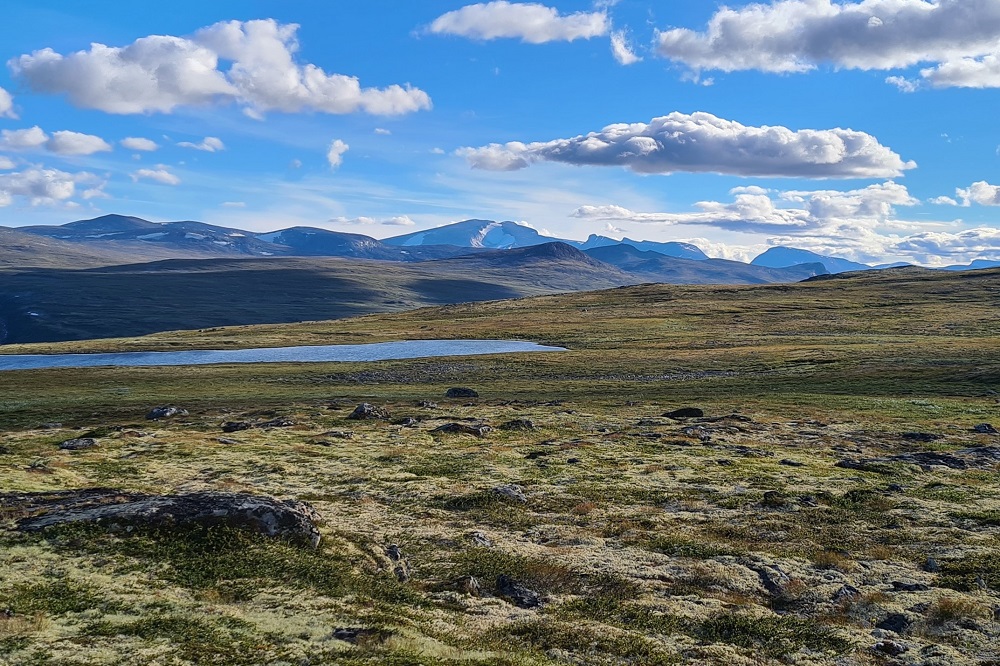 Istidene gjorde mindre skade enn tidligere antatt – nye aldersdateringer  viser at fjellplatåene og dalfører nordover til Trondheimsfjorden ble  dannet i jura 
geoforskning.no/dinosaurer-pa-… 
#geologi #forskning #formidling #kunnskap