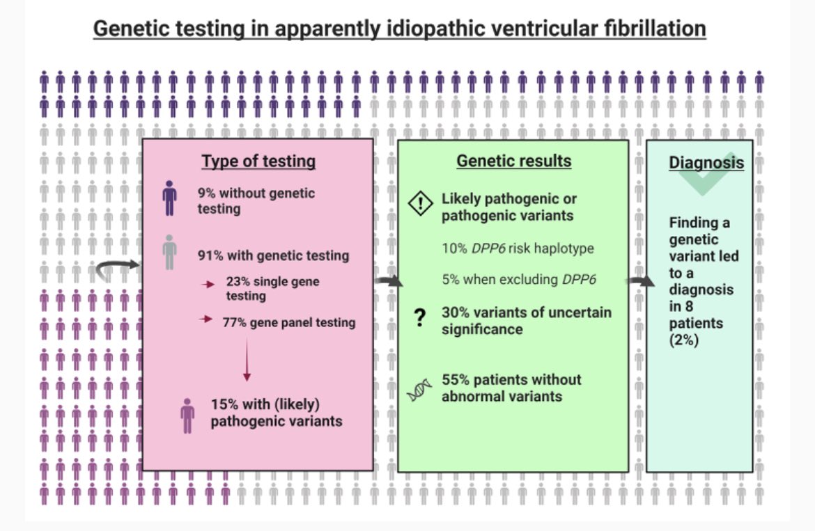 Europace Editor-in-Chief (@europaceeic) on Twitter photo Genetic Basis of Apparently Idiopathic Ventricular Fibrillation 👉🏻results from a large 🇳🇱 registry #IVF #genetics
📍 doi.org/10.1093/europa…
<a href="/GiulioConte9/">Giulio Conte</a> <a href="/Dominik_Linz/">Dominik Linz</a> <a href="/marcovitoloMD/">Marco Vitolo Ⓜ️</a> <a href="/FraSantoroMD/">Francesco Santoro, MD, PhD</a> <a href="/AndyZhangMD/">Xiaodong Zhang (Andy), MD, PhD, FHRS, FACC</a> <a href="/MBergonti/">Marco Bergonti</a> <a href="/LuigiDiBiaseMD/">Luigi Di Biase</a> Genetic Basis of Apparently Idiopathic Ventricular Fibrillation 👉🏻results from a large 🇳🇱 registry #IVF #genetics
📍 doi.org/10.1093/europa…
<a href="/GiulioConte9/">Giulio Conte</a> <a href="/Dominik_Linz/">Dominik Linz</a> <a href="/marcovitoloMD/">Marco Vitolo Ⓜ️</a> <a href="/FraSantoroMD/">Francesco Santoro, MD, PhD</a> <a href="/AndyZhangMD/">Xiaodong Zhang (Andy), MD, PhD, FHRS, FACC</a> <a href="/MBergonti/">Marco Bergonti</a> <a href="/LuigiDiBiaseMD/">Luigi Di Biase</a>