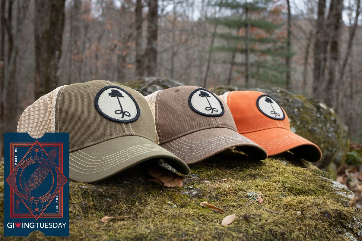 The Orianne Society tweet media