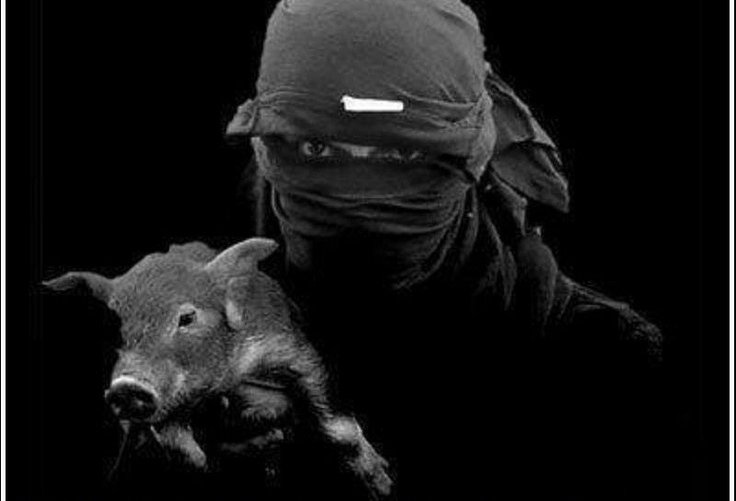 Love pigs
K1ll cops💓