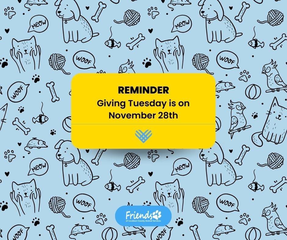 FLCAS2018's tweet photo. Mark your calendars! 📅 Giving Tuesday is just around the corner on November 28th. Join us in making a difference for the animals at Loudoun County Animal Services. Every donation counts and helps create a brighter future for our furry friends. 🐾💙 #FLCAS #GivingTuesday https://t.co/fjdQv3zH0G