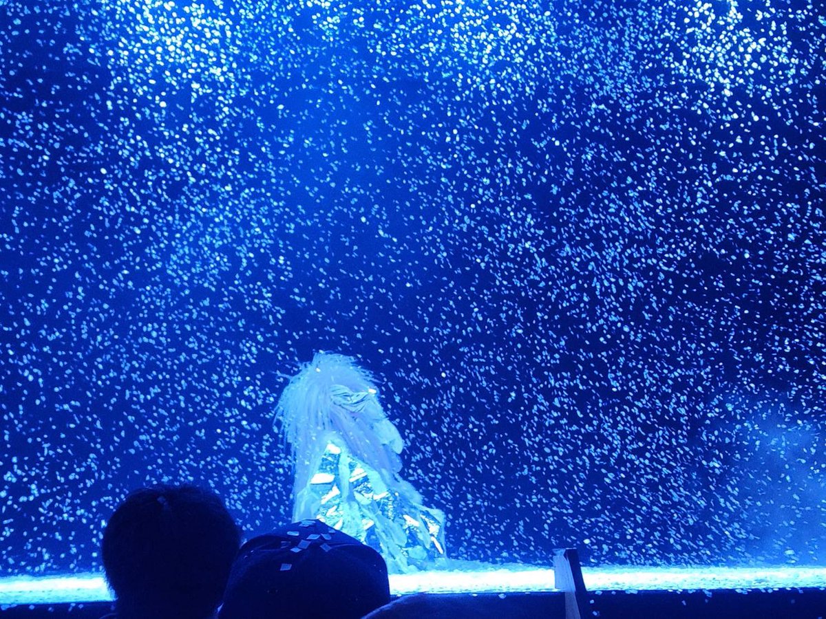 sugii_00's tweet photo. 仕掛け類全部上手くいった日😳
#大都神楽団
#伊吹山 https://t.co/9KmZ66GVjm