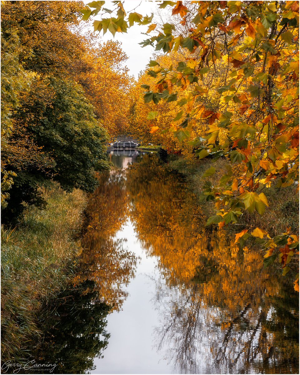 Autumn reflections on the Grand Canal.

#grandcanal #dublin #lovedublin #dublincity #thefullirish #instant_ireland #daily_ireland #irish_daily #unlimitedireland #addictedtoireland #enjoyireland #raw_ireland #canonr6 #canon24105