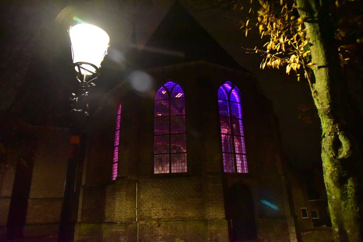 Flying Eagle Concert tweet media