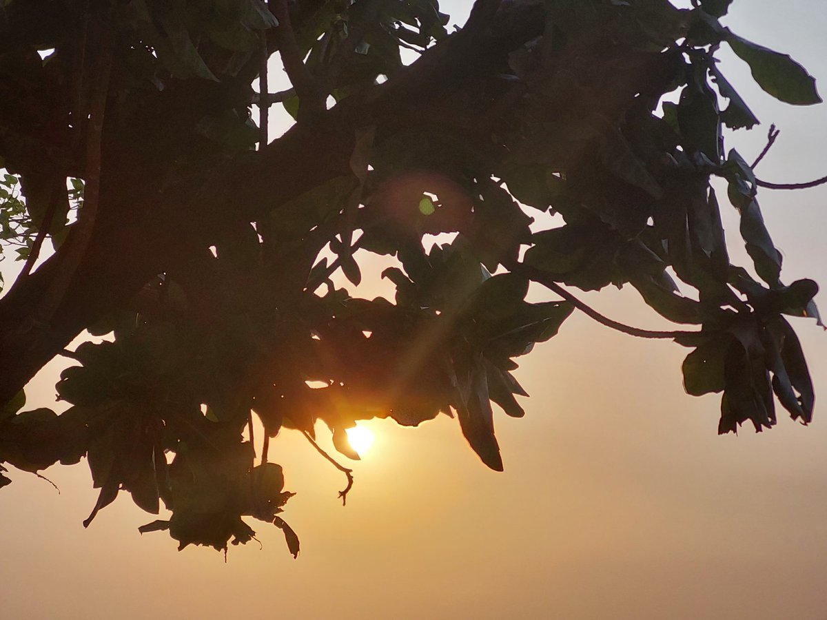 ajnabeeaislinn's tweet photo. Suraj hua madham 🧡
#sunsetclick #photography https://t.co/P5m20EA96S