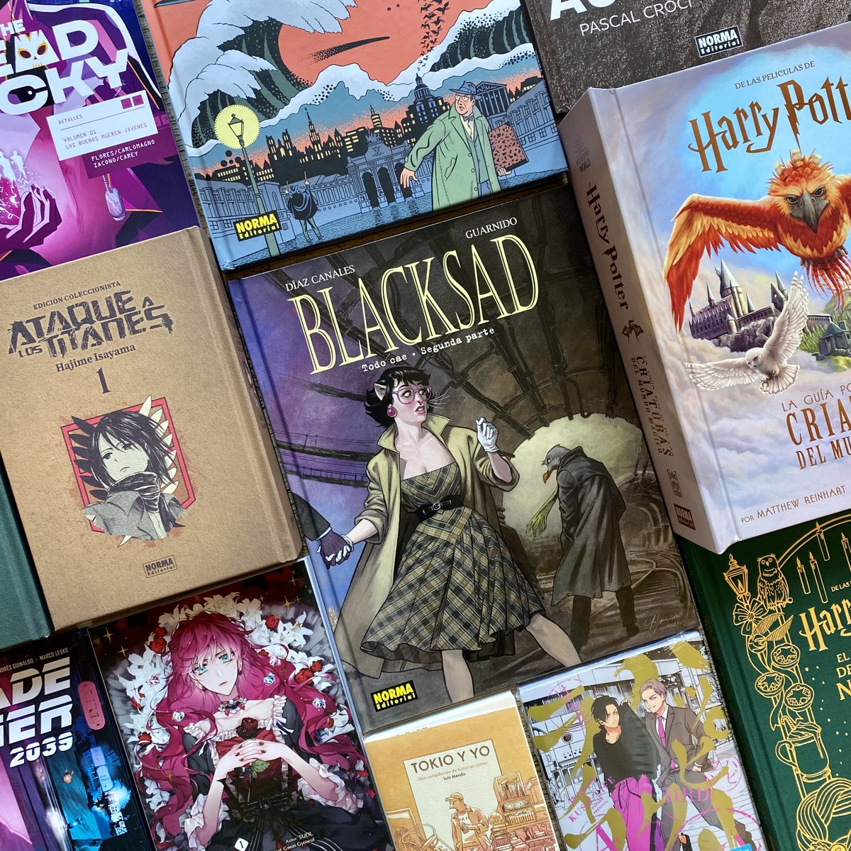 NormaEditorial's tweet photo. Hoy llegan a las librerías nuestras novedades de noviembre 📚🤩 de libro ilustrado, cómic europeo y americano junto a la segunda remesa de manga. Venimos cargados con muchas historias apasionantes. 

Toda la información en https://t.co/soreQdkMpE

¡Feliz lectura! https://t.co/0aGjEFloIu