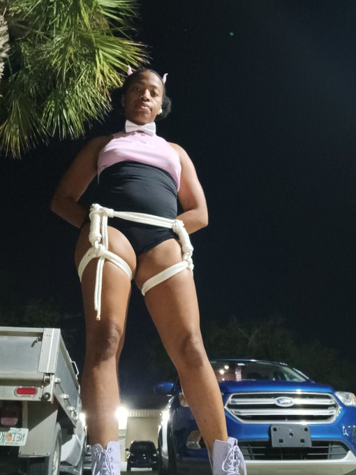 The tools 🪢 The art 🎨 https://t.co/Z6UXPxPEMI