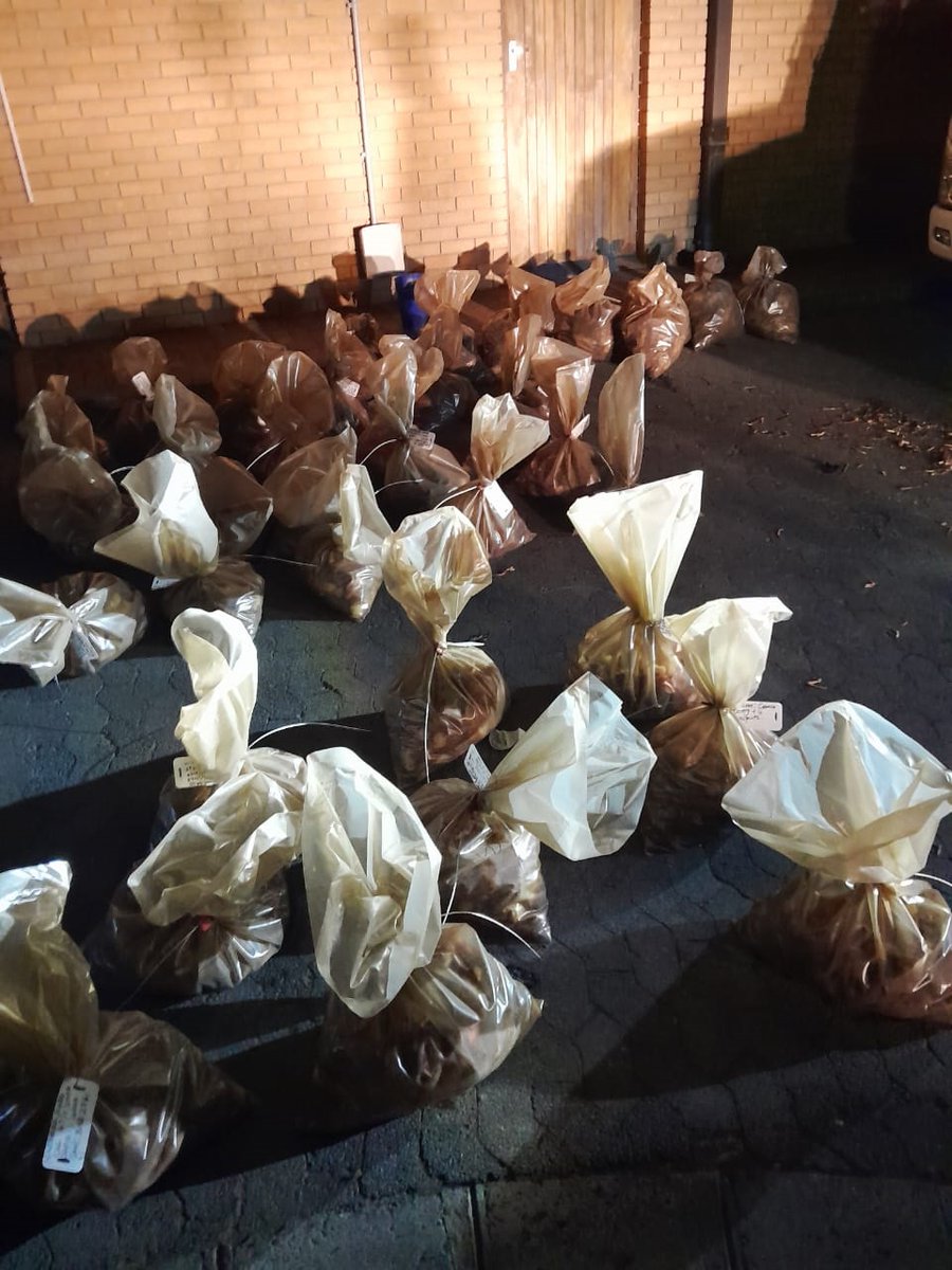 #sapsWC #SAPS members attached to Operation Restore arrested of 5 suspects between the ages 25 and 30 during a stop and search on 19/11 on the N2 for possession of West Coast Rock Lobster without a permit. #EnviroCrimes ME
saps.gov.za/newsroom/msspe…