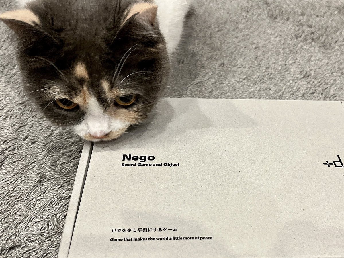 315abi's tweet image. ミー子、これは「世界を少し平和にするゲーム」なんだって。

#Nego
#ミヌエット
#猫のいる暮らし 
#猫好きさんと繋がりたい𓏲𓎨