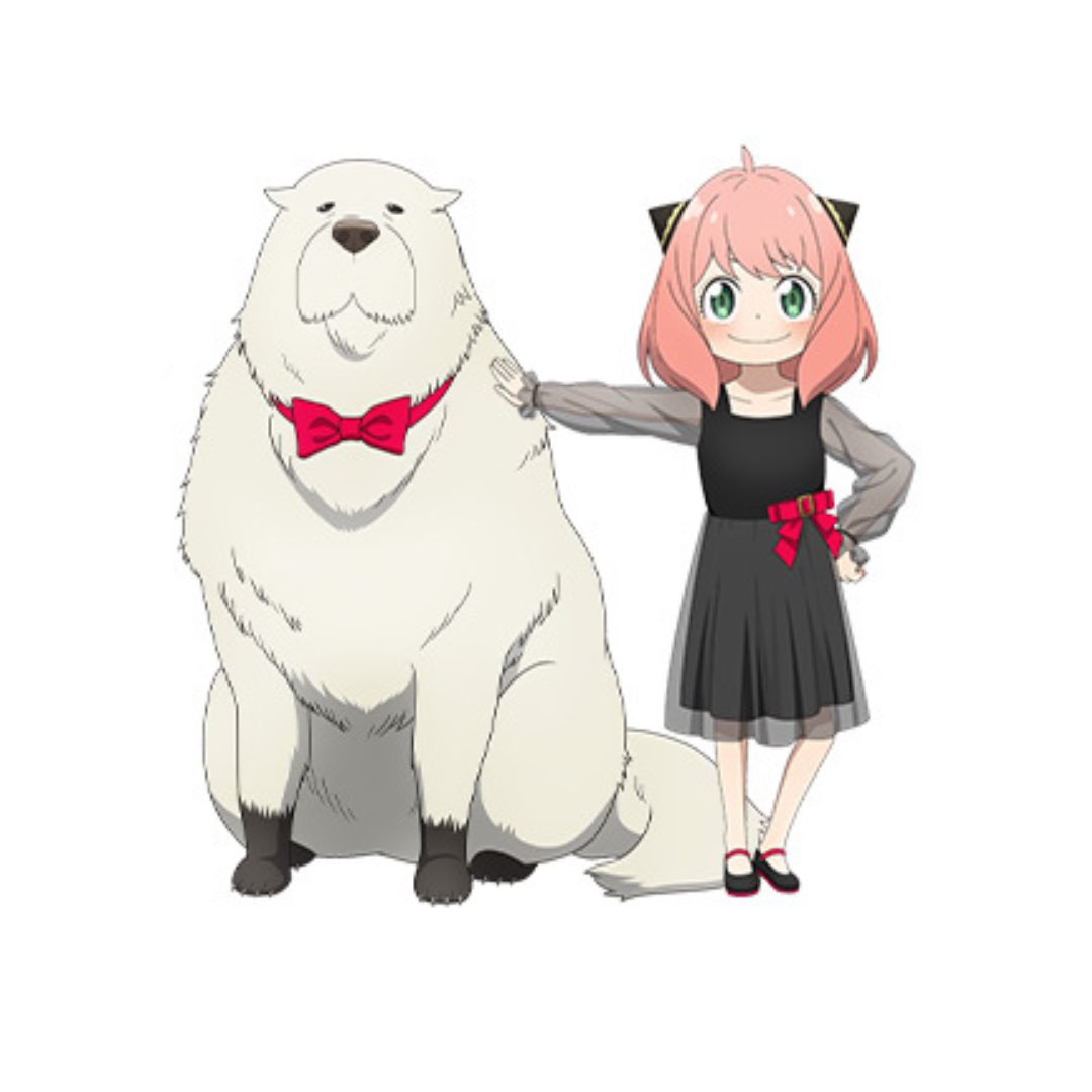 ジャンプフェスタ 2024 ローソン / HMV&BOOKS SPY×FAMILY グッズ 描き