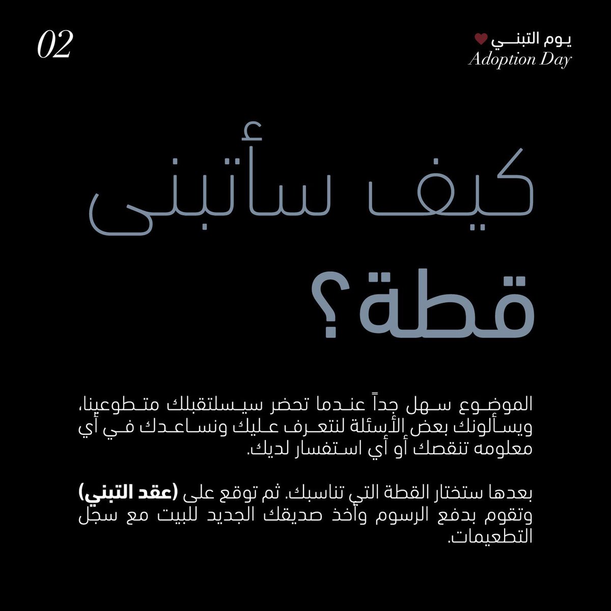 Open Paws tweet media