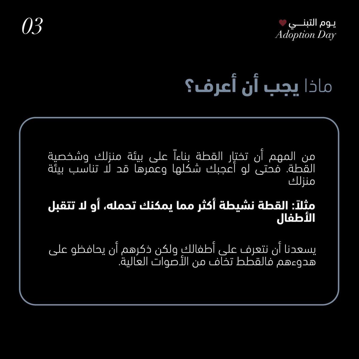 Open Paws tweet media