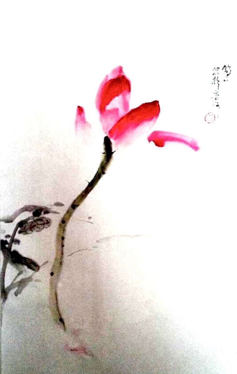 Song278144025's tweet photo. 想起在京郊画家村的时候，一个免食宿在我的工作室的熟人，问我进城的路
我的脑子会被猛然出现的问题惊吓到灵魂出窍，如火箭飞奔.猛的听到一声“吼”
吓到紧急刹车.随口报出“停车的站名
听到更加愤怒的咆哮“问你北你回答的东西都不是”
此后我深深地检视自己
我确实常常词不达意

更加感谢爱护我的人🙏❤️🙏 https://t.co/O2NcSUvrEk
