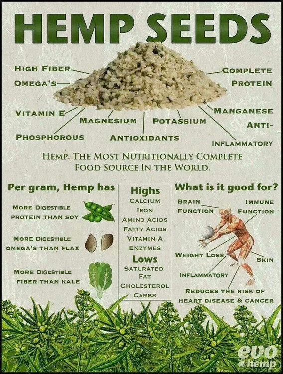 HHMU_Banksia's tweet photo. #How2TakeThePI$$ #ArtisticALLY... 

#FriendSHIPmatters 

#DandeLIONs - #Pi$$#theBeds 
#GetCreative-#Weeds &amp; #FlowerHeads! 

#CannabisCures-#HempHeals 
#GrowYerOwn2StopDodgyDeals 

#IDWP-#IDeclareWorldPeace 

#MitakuyeOyasin 
@mikecoulson48 @DianeLivermore @Irishfiddler03 https://t.co/XTeiGn9daY